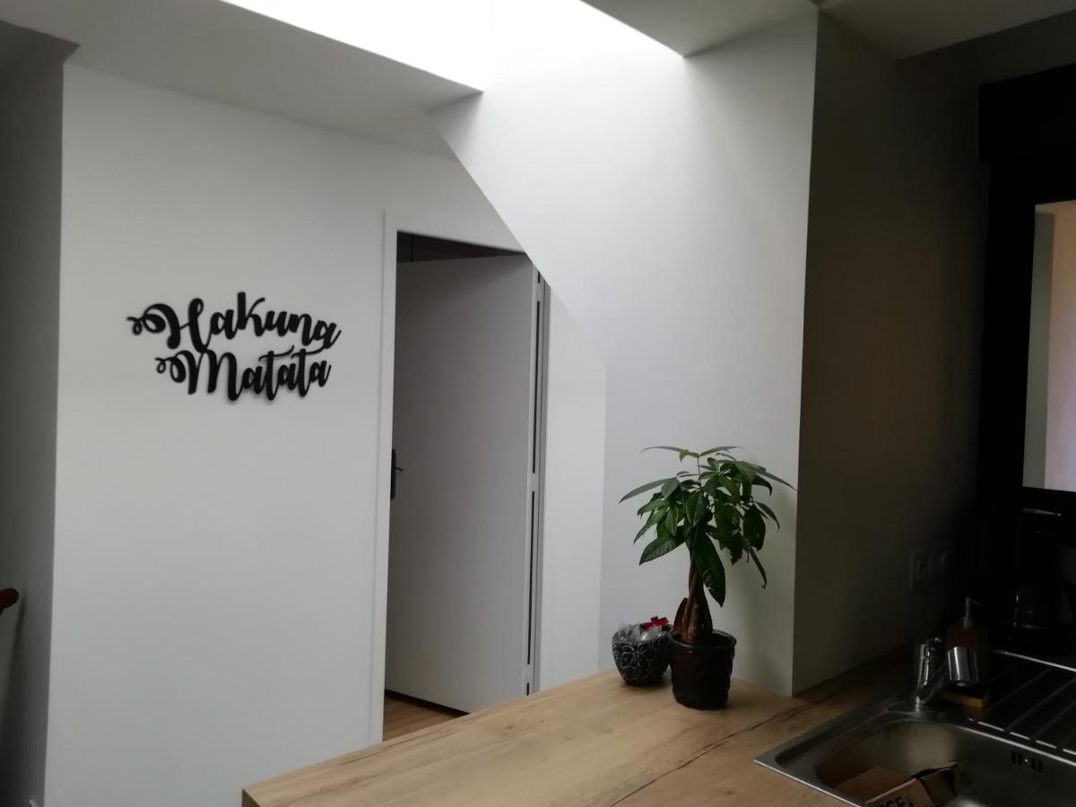 Au Rythme De Concarneau Apartamento Exterior foto